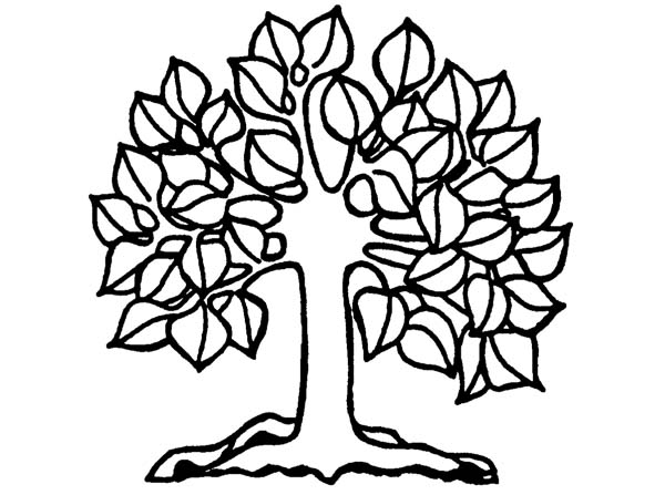 Natursteine Werner Oldemeyer Symbolkunde
